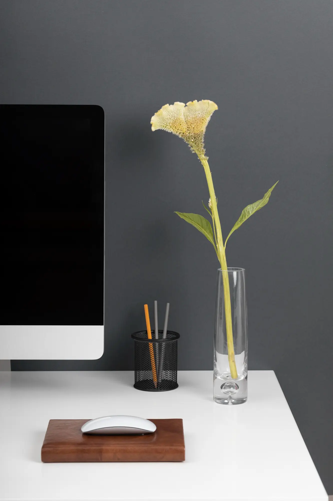 Bureau digital minimaliste avec ordinateur pour agence web en Tunisie